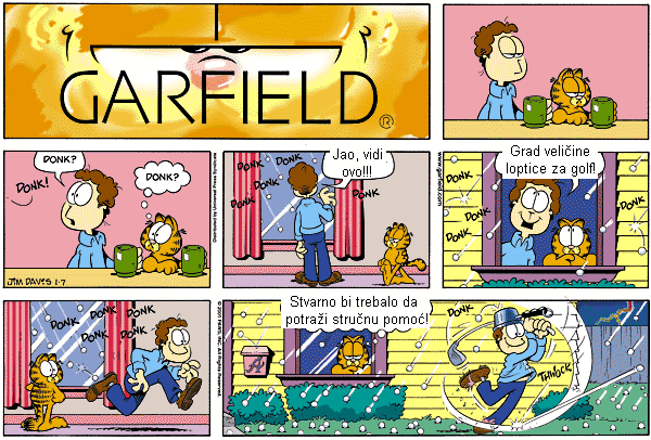garfild11.gif